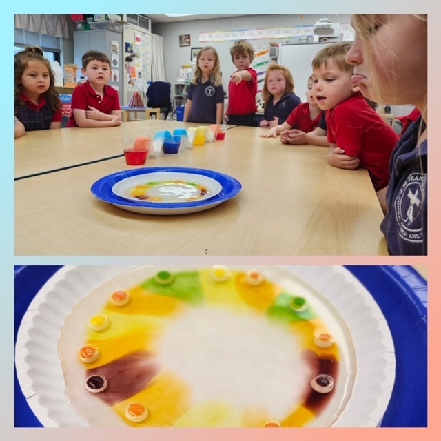 SFA preschool 