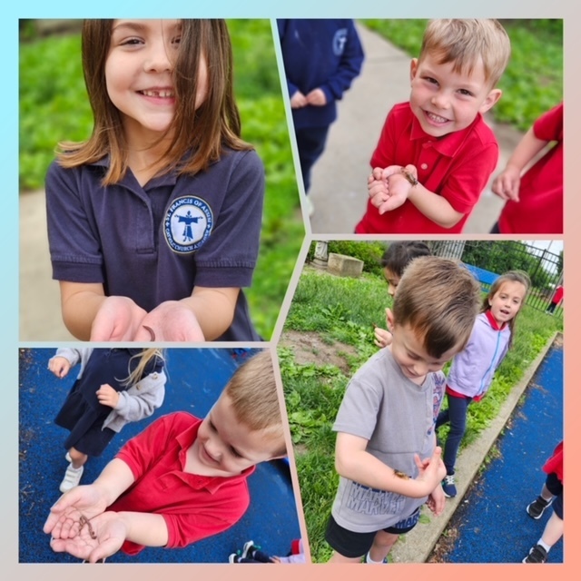 SFA preschool