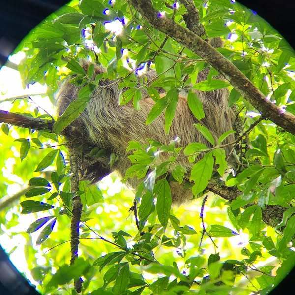 Costa Rica Trip
