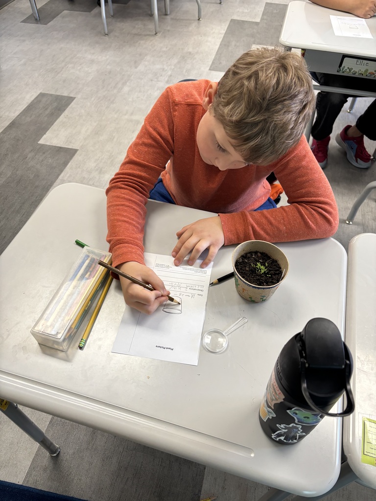 Student fills out an observation sheet while looking at their sprout with a magnifying glass. 