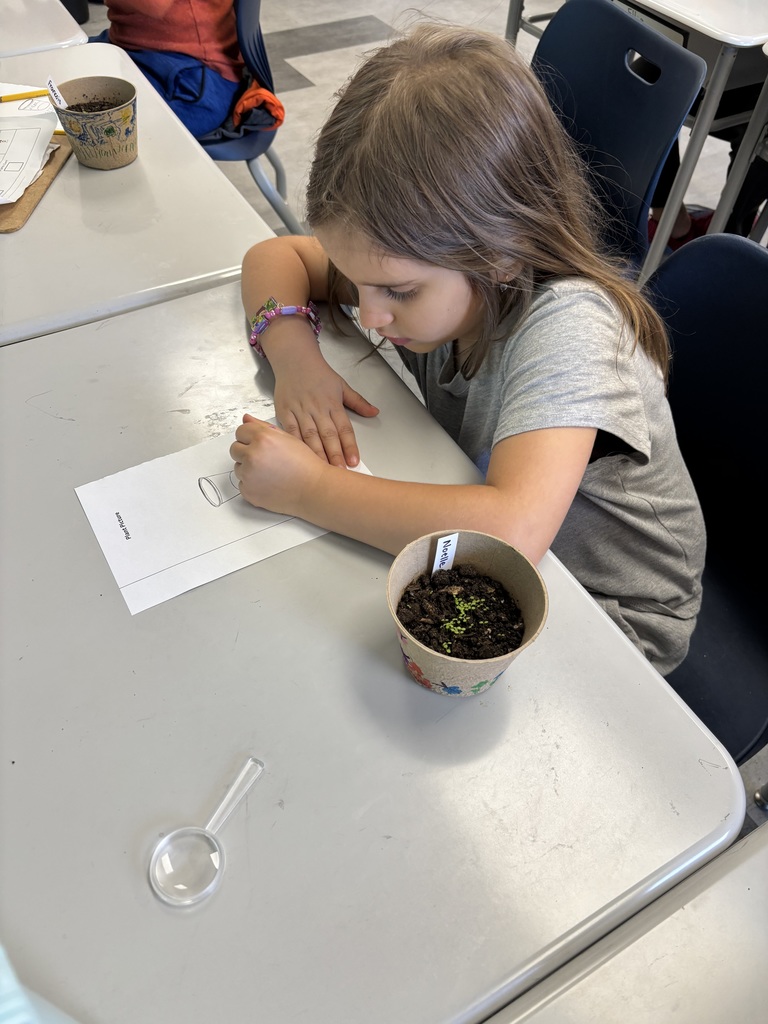 Student fills out an observation sheet while looking at their sprout with a magnifying glass. 