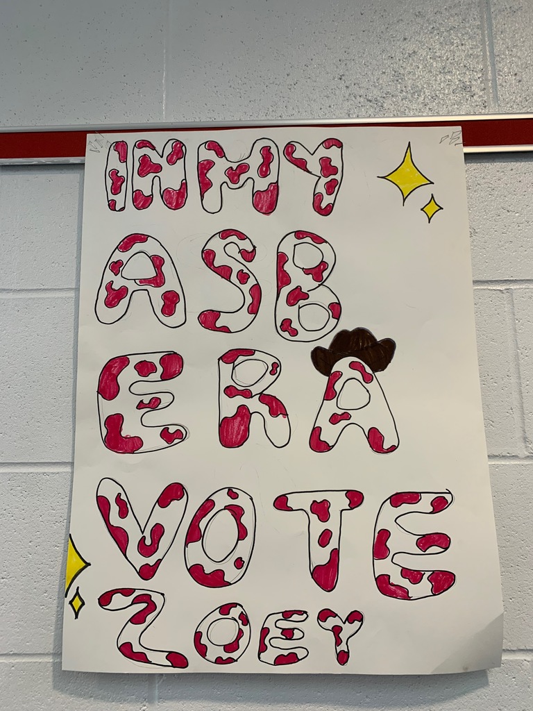 ASB Campaign Posters