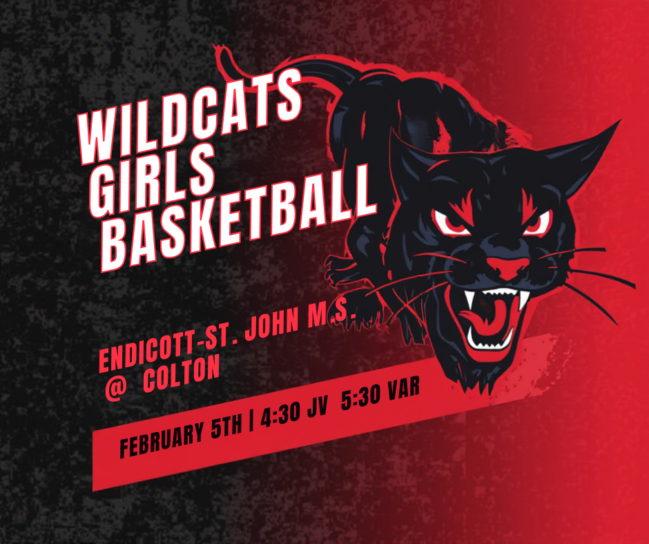 Vibrant Vector Wildcats Game Promotion