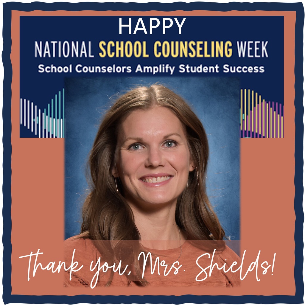 school counseling week