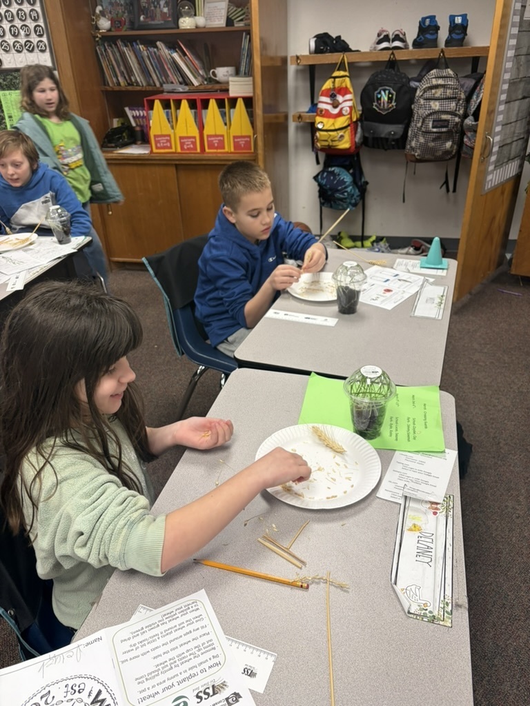 73D79899-7865-43F6-93B5-E7AEB72F899F_1_105_c