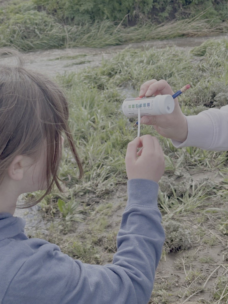 Endicott Elementary and Middle school September 2025