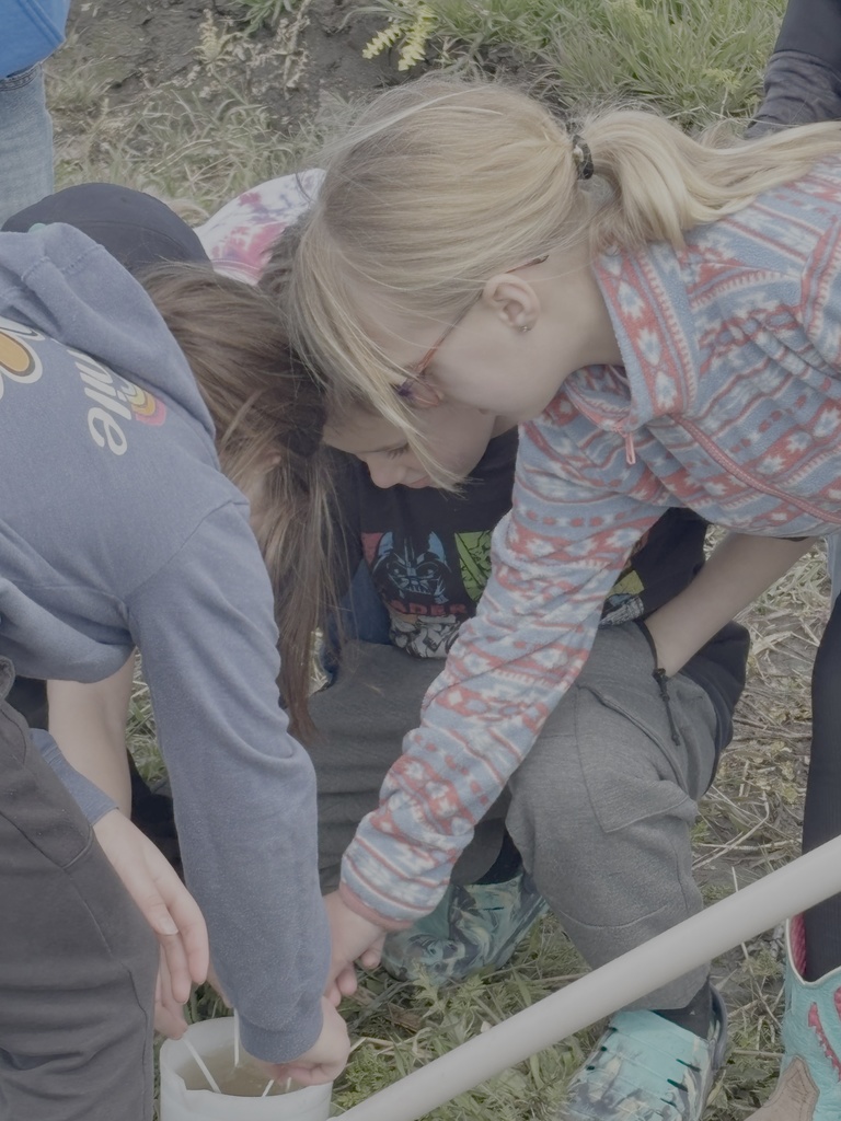 Endicott Elementary and Middle school September 2025