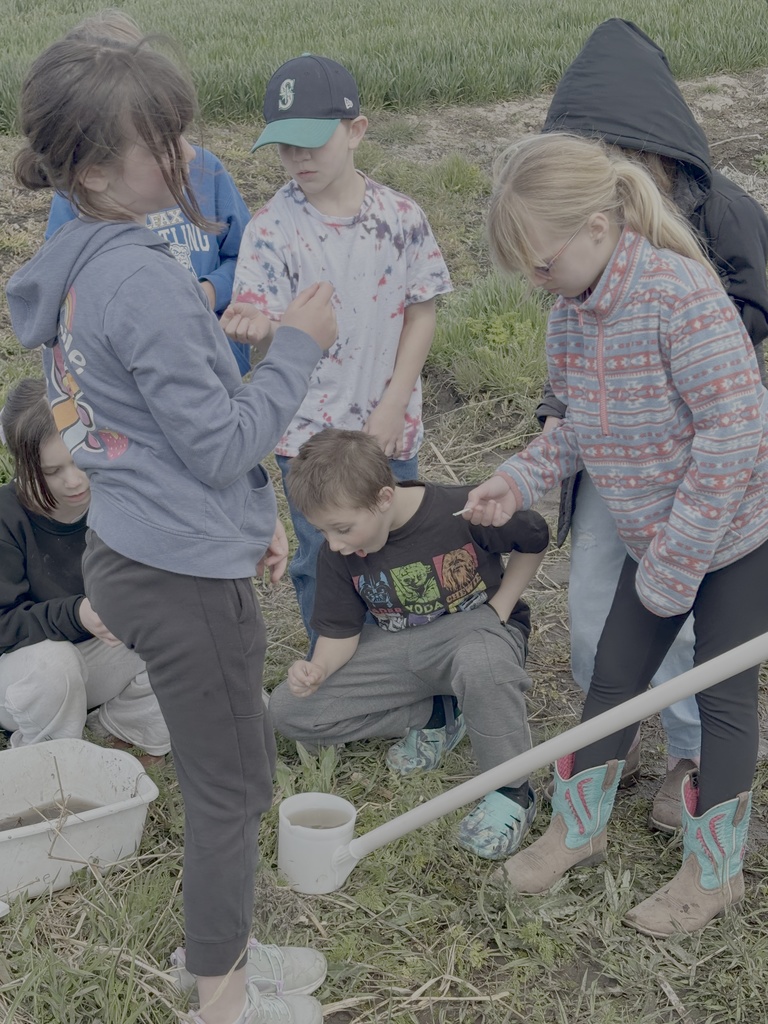 Endicott Elementary and Middle school September 2025