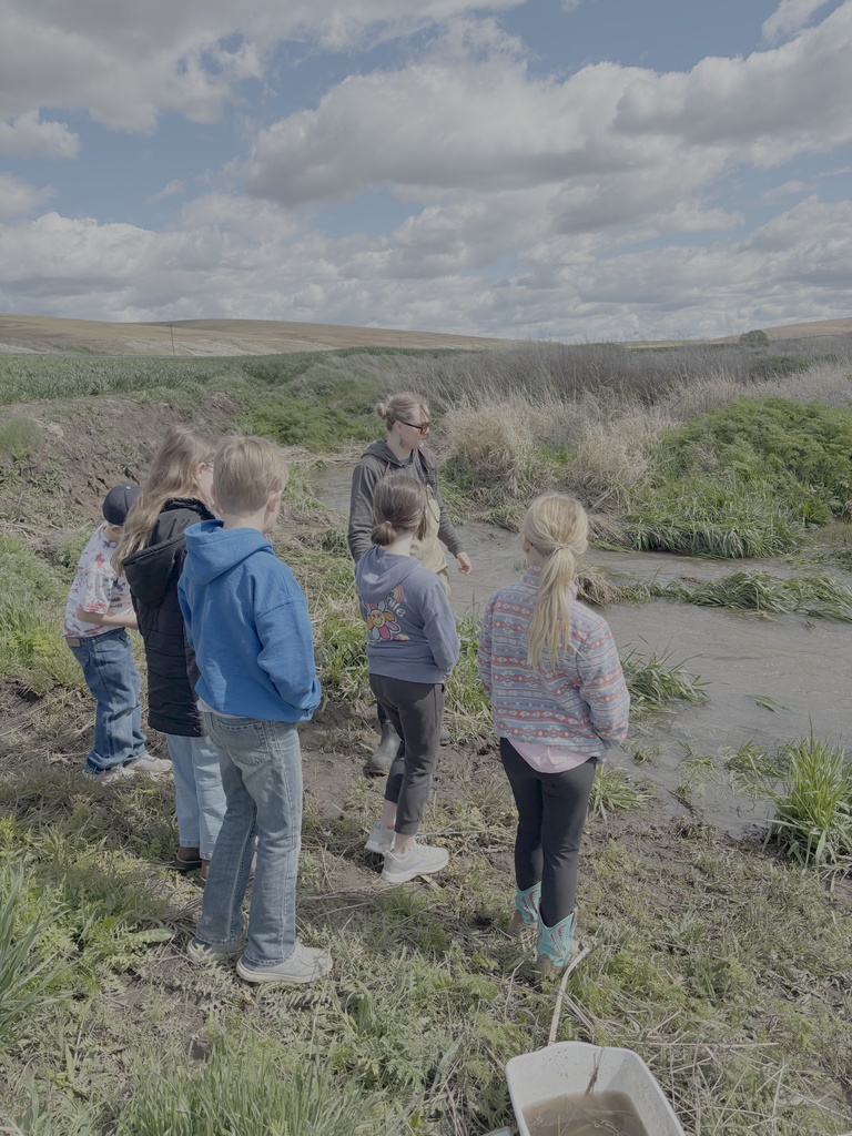 Endicott Elementary and Middle school September 2025