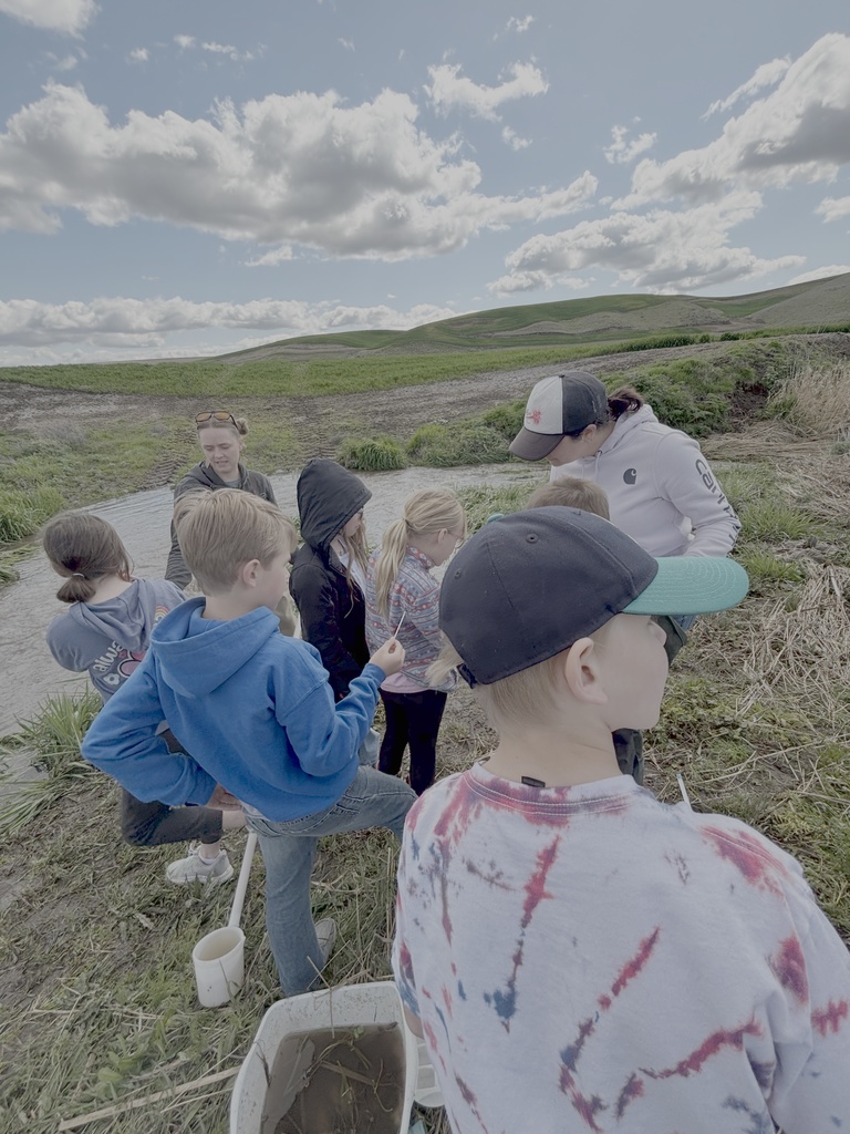 Endicott Elementary and Middle school September 2025