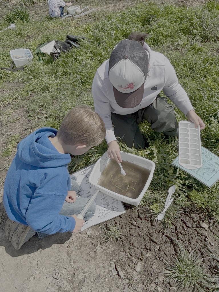 Endicott Elementary and Middle school September 2025