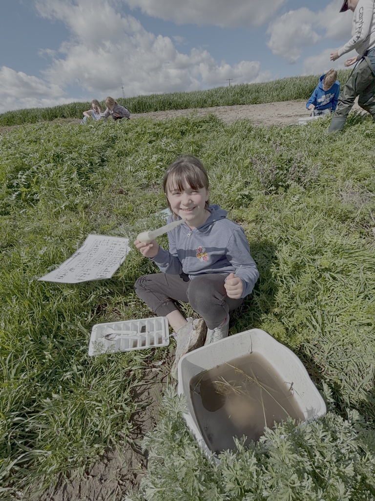 Endicott Elementary and Middle school September 2025