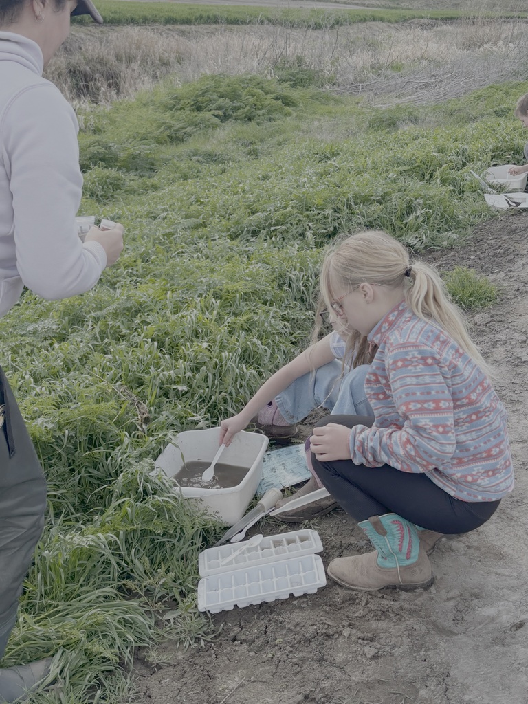 Endicott Elementary and Middle school September 2025