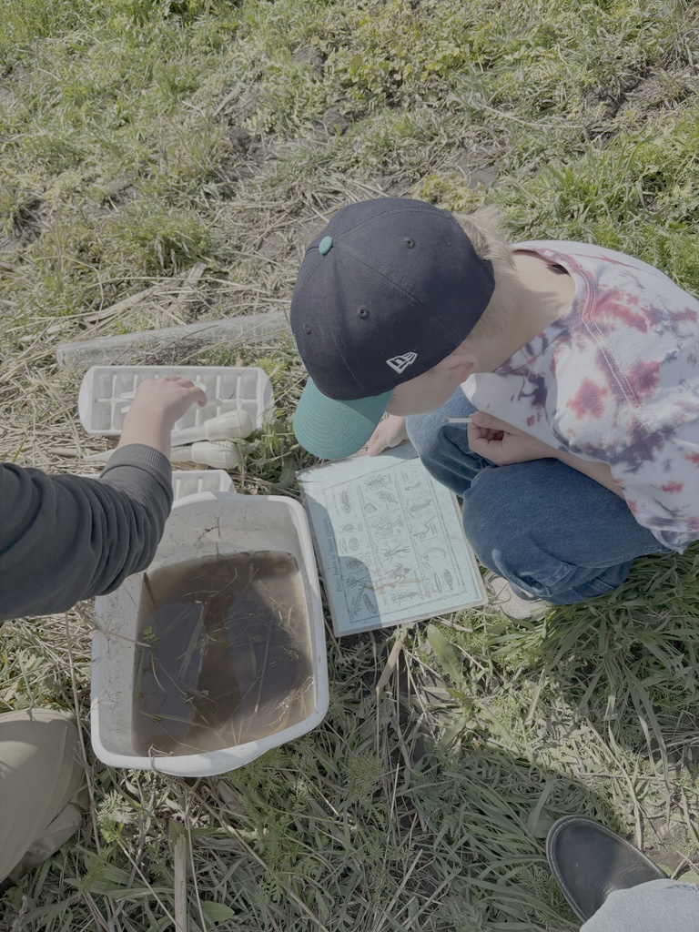 Endicott Elementary and Middle school September 2025