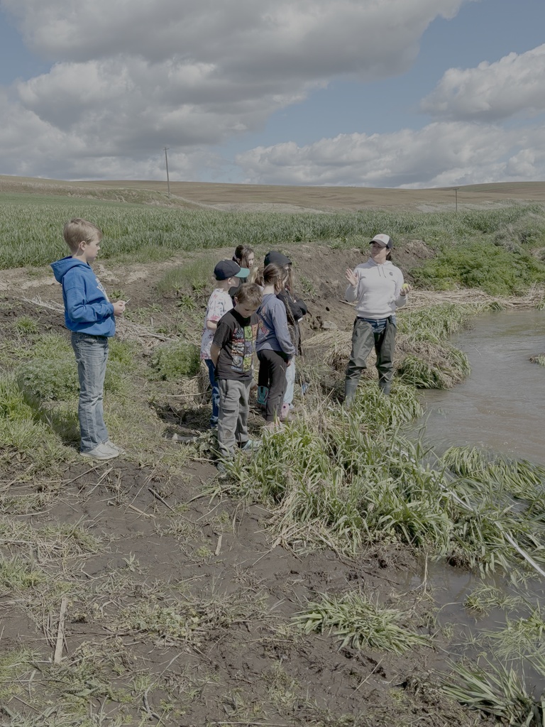 Endicott Elementary and Middle school September 2025