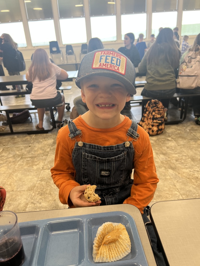 Endicott Elementary and Middle school September 2025