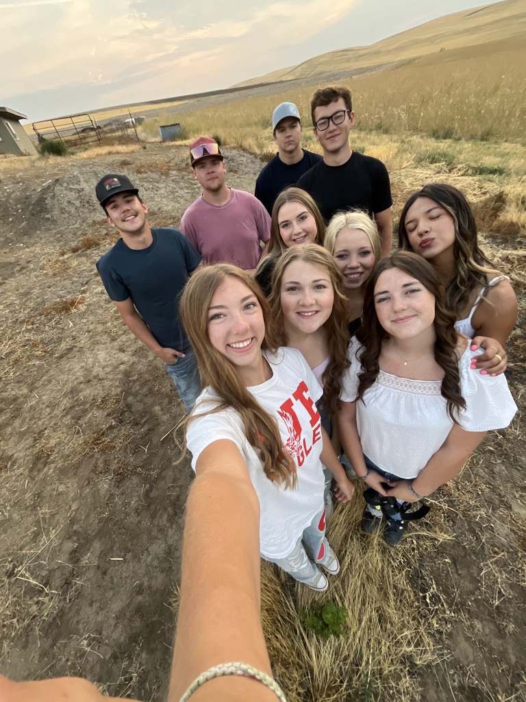 Eagles