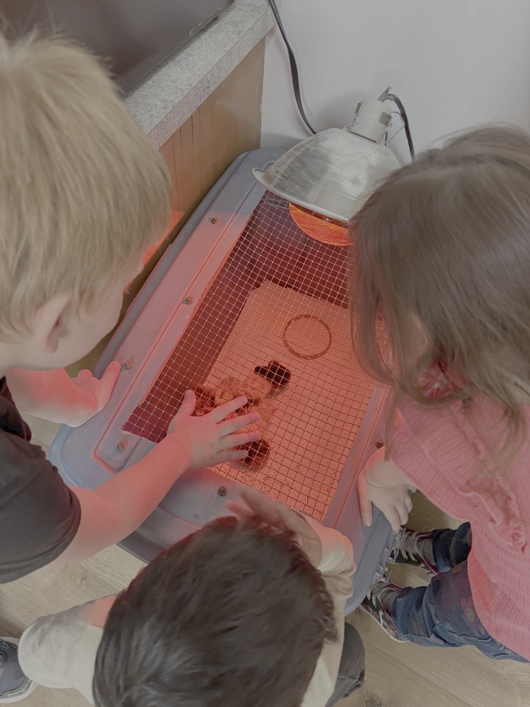 Endicott Pre-School