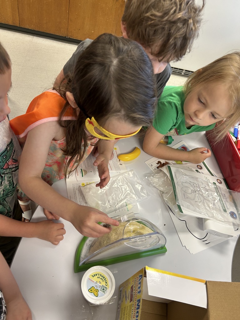 preschool ants