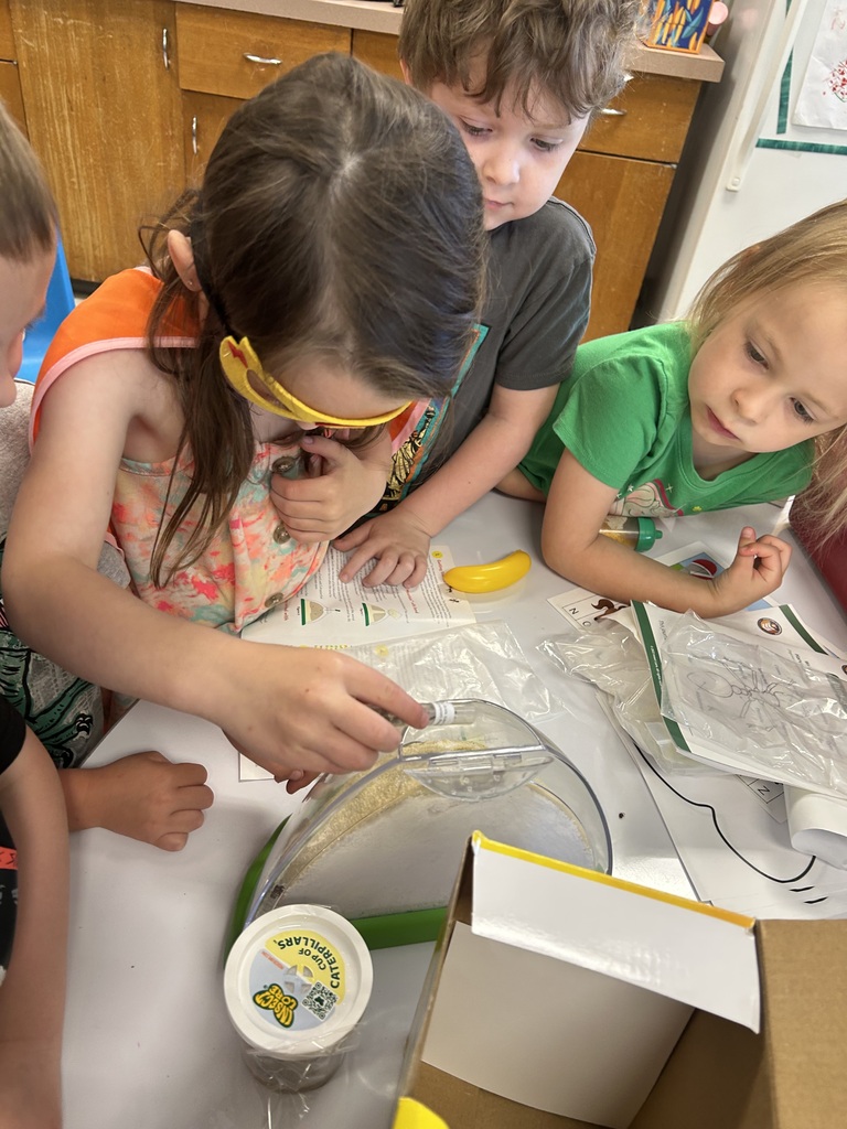 preschool ants