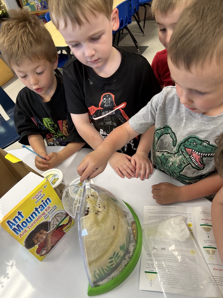 preschool ants