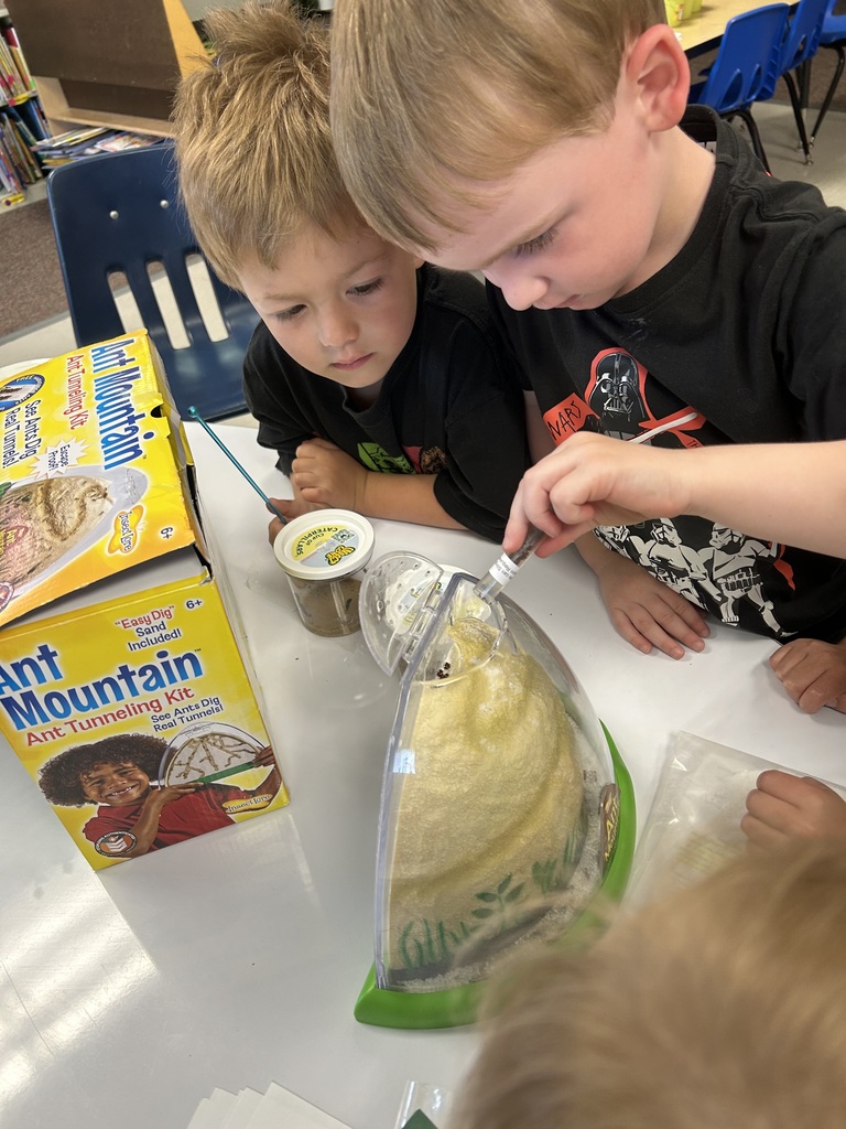 preschool ants
