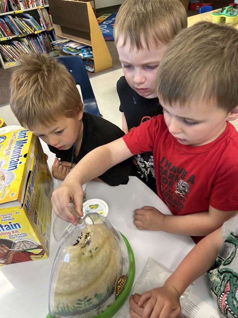 preschool ants