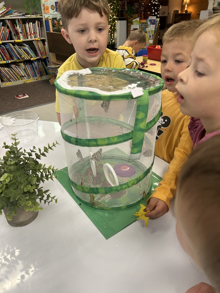 preschool butterflies
