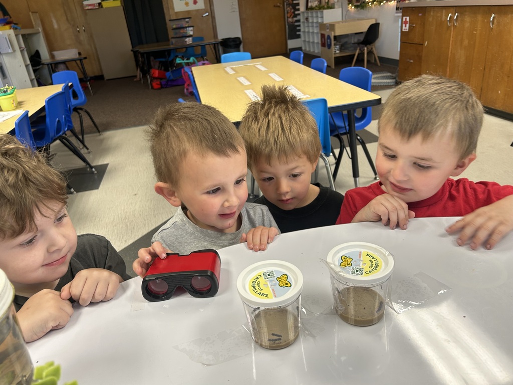 preschool butterflies