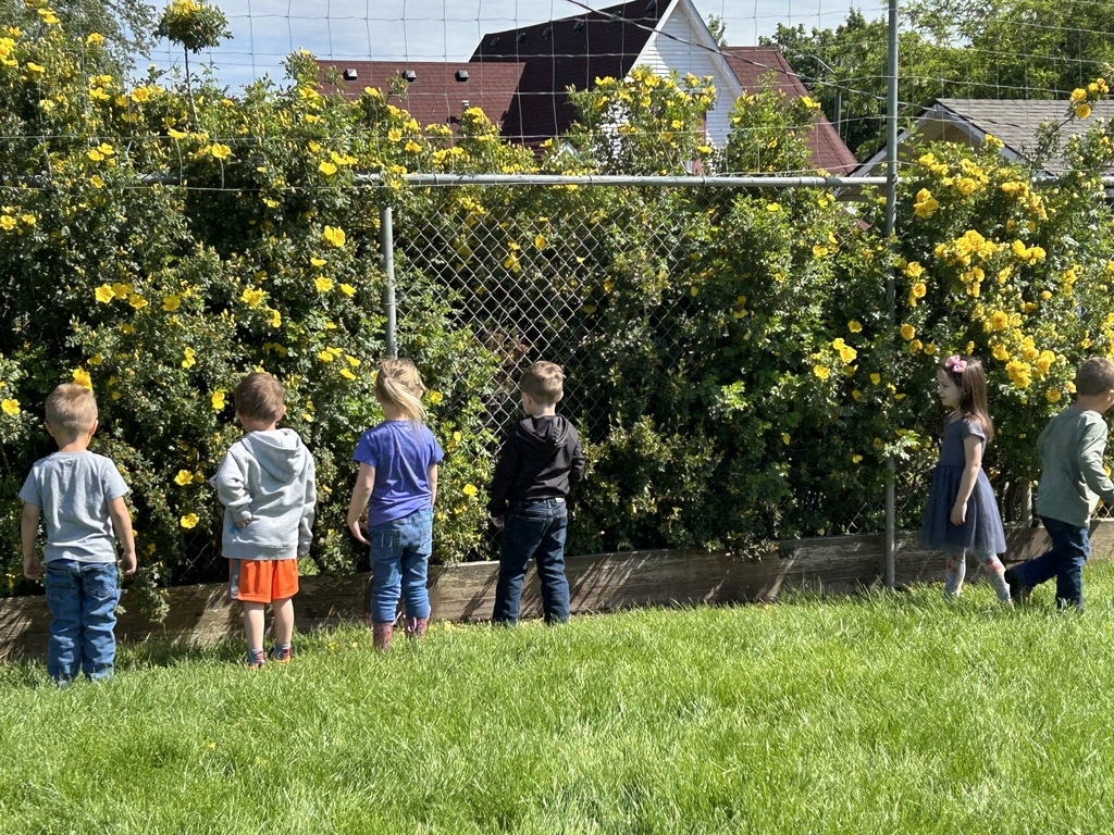 preschool butterflies
