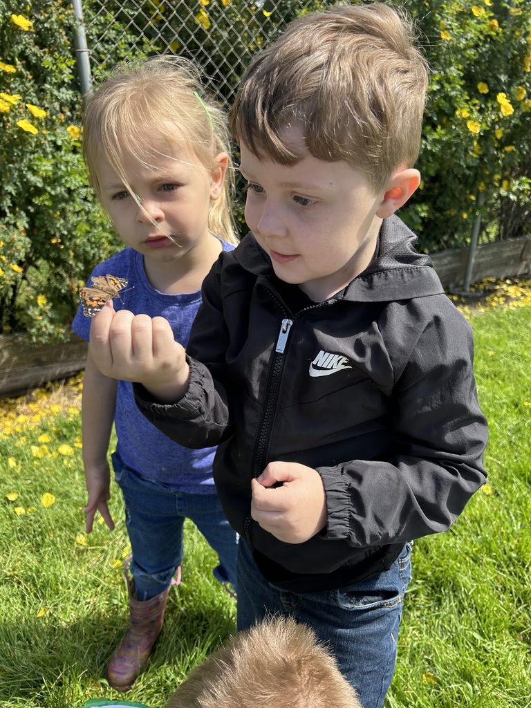 preschool butterflies
