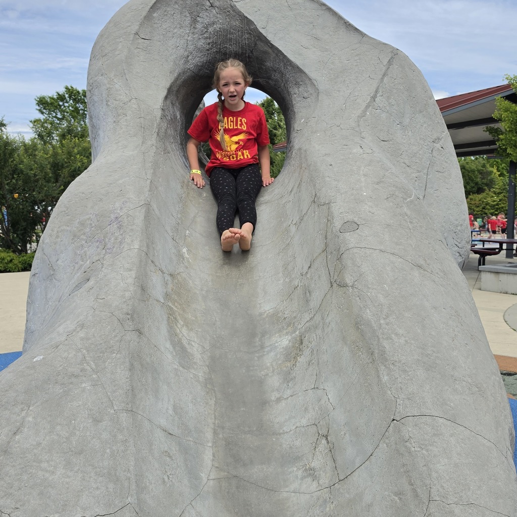 Eagle Fun!