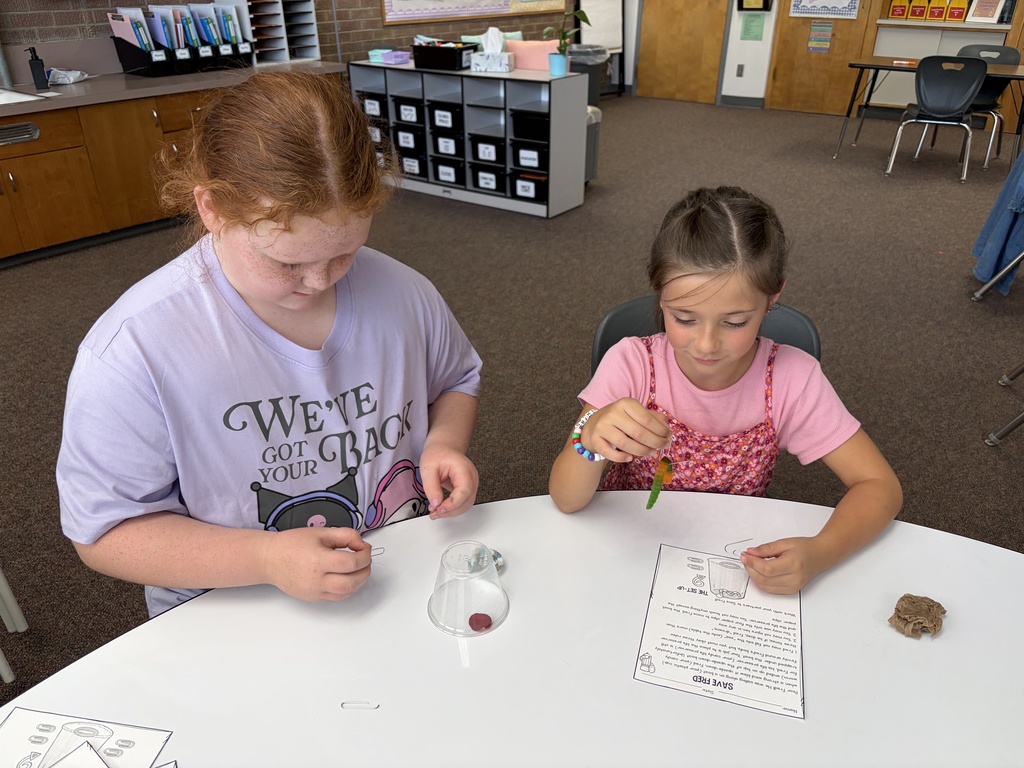 3rd Grade Fun!