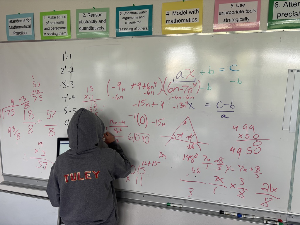 Math in Action!