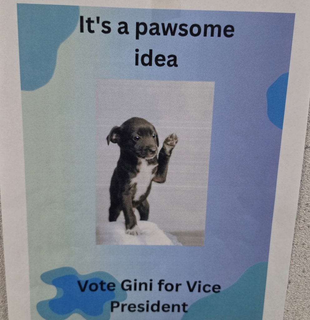 Elementary ASB Elections!