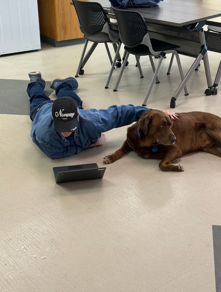 The Best Companion for Learning!