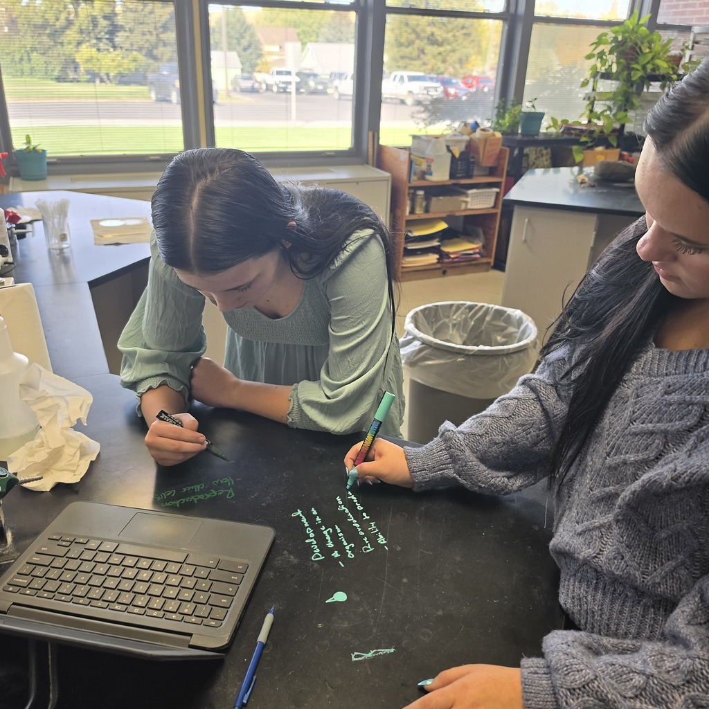 Learning in Action!