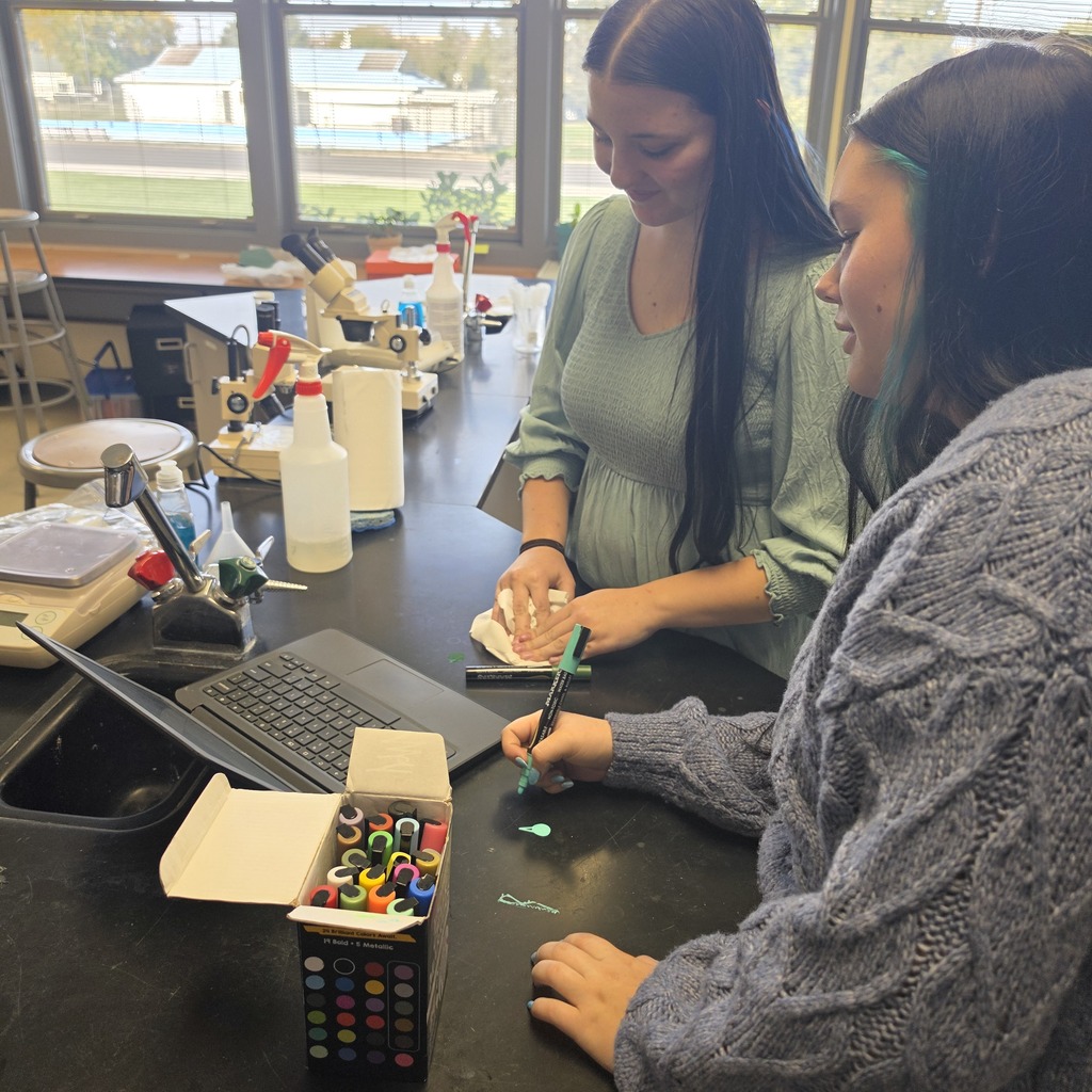Learning in Action!