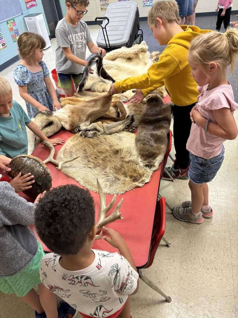 chilren exploring animal hides