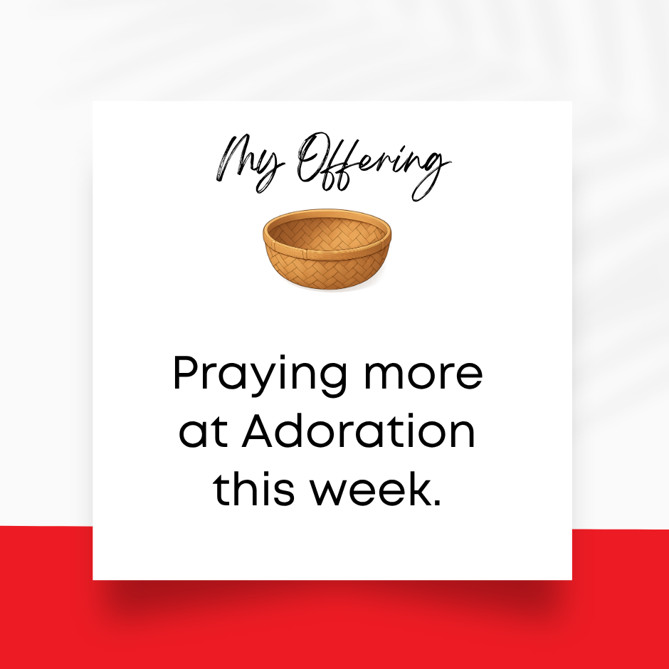 stewardship offering