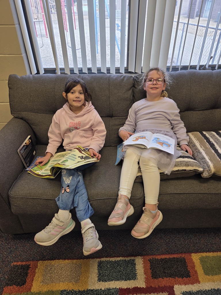 read and relax in the library