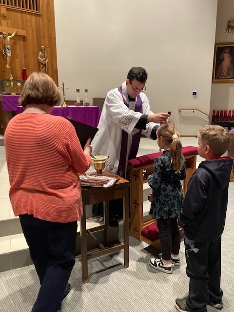 brown scapular enrollment