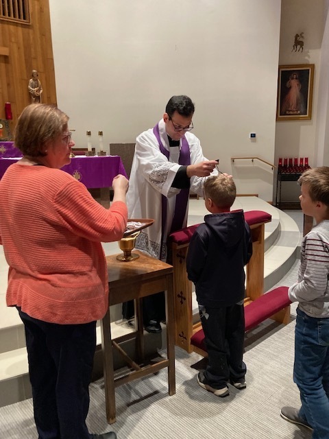 brown scapular enrollment