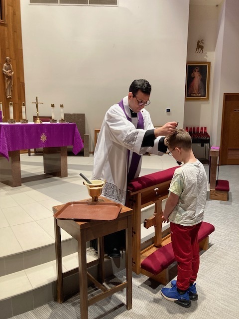 brown scapular enrollment