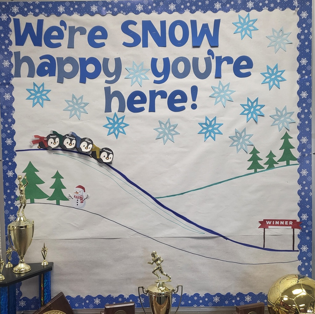 Bulletin Penguin Race