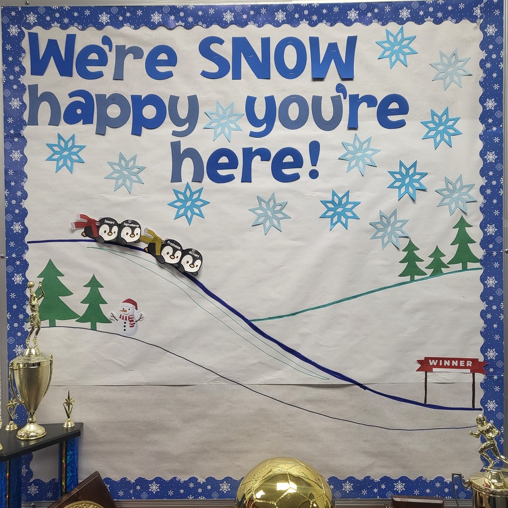 Bulletin Penguin Race