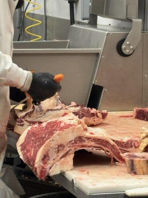 FFA Field Trip to LC Meat