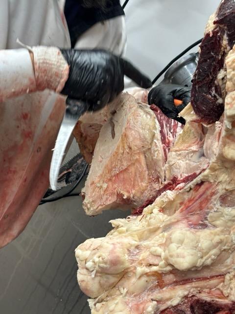 FFA Field Trip to LC Meat