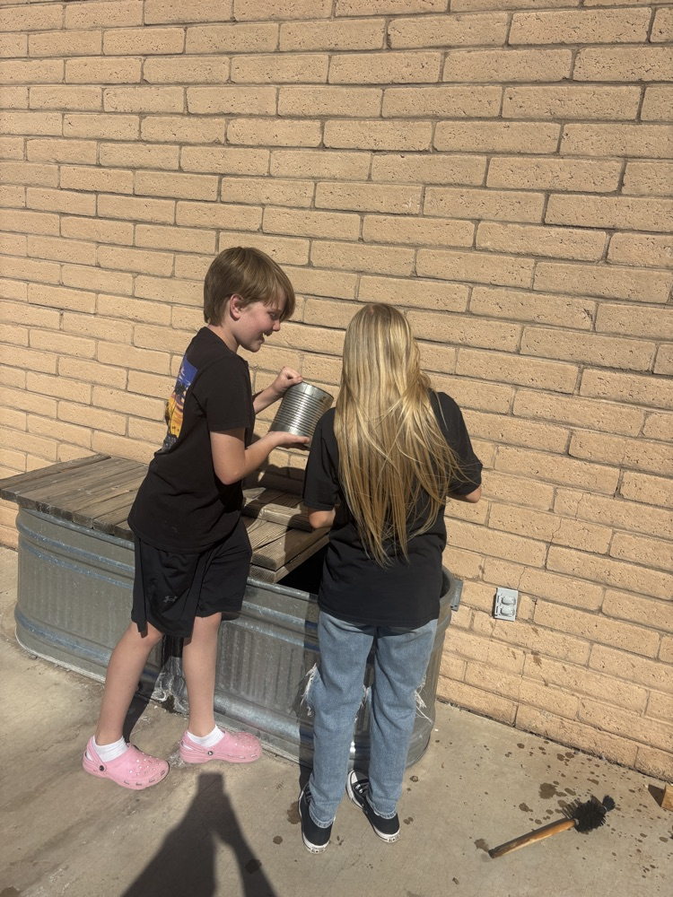 getting water for rabbits