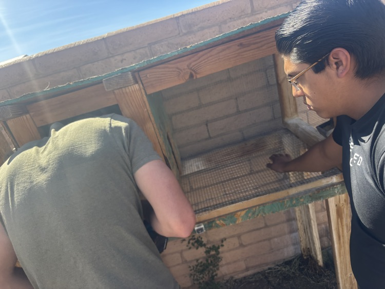 fixing rabbit hutch